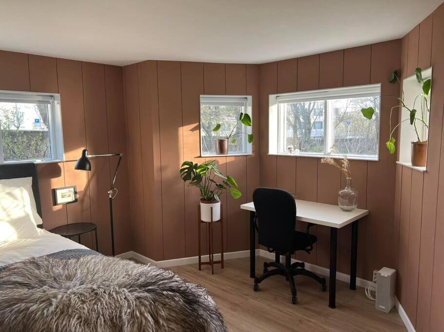 New Cozy Bohemian Dowtown Reykjavik Apartment Exterior foto